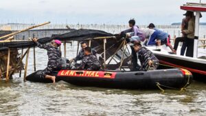 Pembongkaran Pagar Laut oleh TNI AL