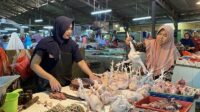 ilustrasi daging ayam