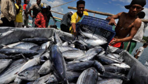 Ilustrasi penangkapan ikan