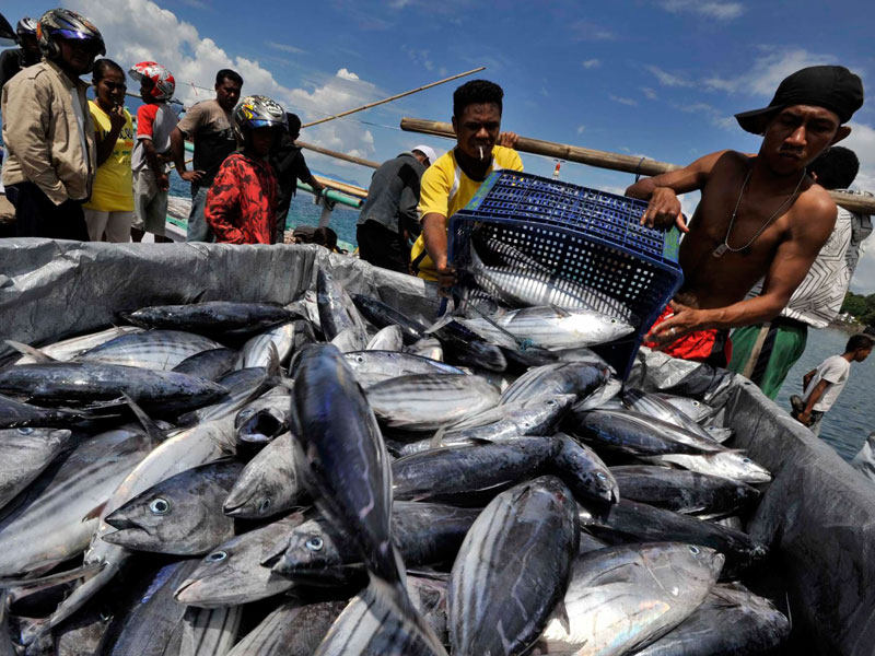 Ilustrasi penangkapan ikan
