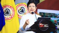 Ketua Dewan Audit OJK Sophia Wattimena