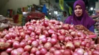 Bawang Merah