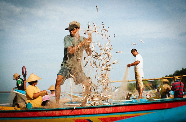 Ilustrasi Nelayan Ilustrasi Nelayan