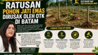 NB: Foto pohon dalam grafis adalah ilustrasi AI