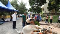 Dokumen BP Batam, Prosesi Penyembelihan Hewan Qurban di Kantor BP Batam beberapa waku lalu