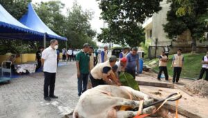 Dokumen BP Batam, Prosesi Penyembelihan Hewan Qurban di Kantor BP Batam beberapa waku lalu