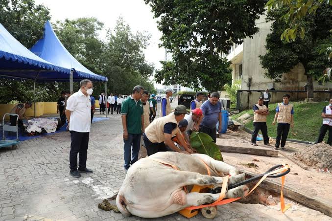 Dokumen BP Batam, Prosesi Penyembelihan Hewan Qurban di Kantor BP Batam beberapa waku lalu
